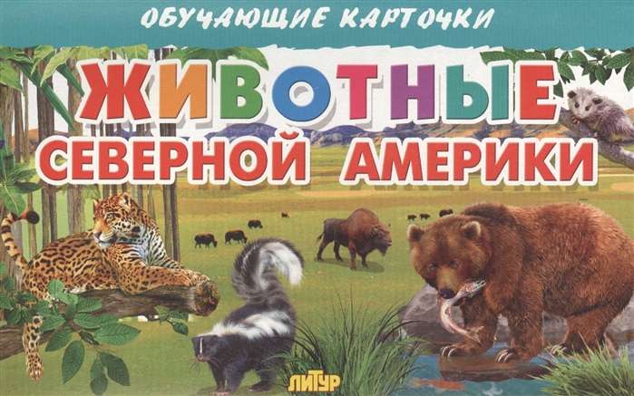 Educational Cards. Animals of North America