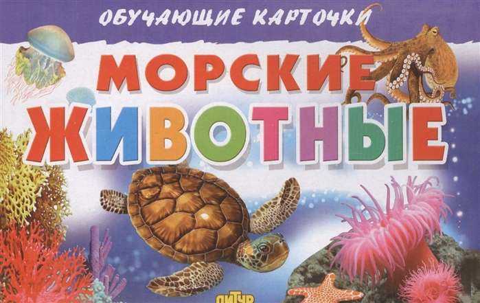 Educational Cards. Marine Animals