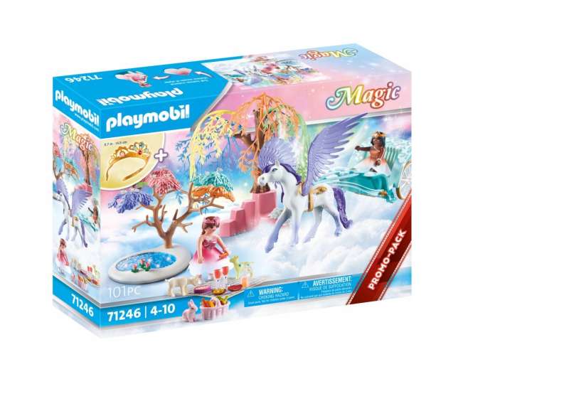Picnic with the Pegasus Carriage