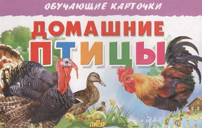 Educational Cards. Domestic Birds
