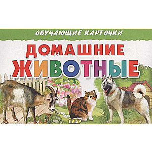 Educational Flashcards. Pets