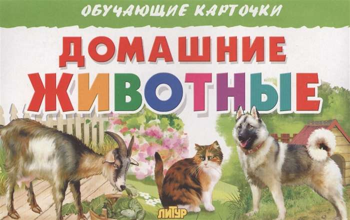 Educational Flashcards. Pets