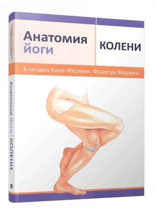 Anatomy of Yoga: Knees