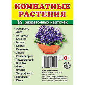 Set of Cards Houseplants. 16 Handout Cards with Text