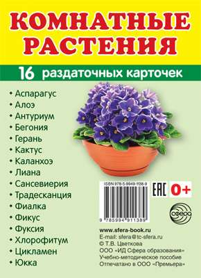 Set of Cards Houseplants. 16 Handout Cards with Text