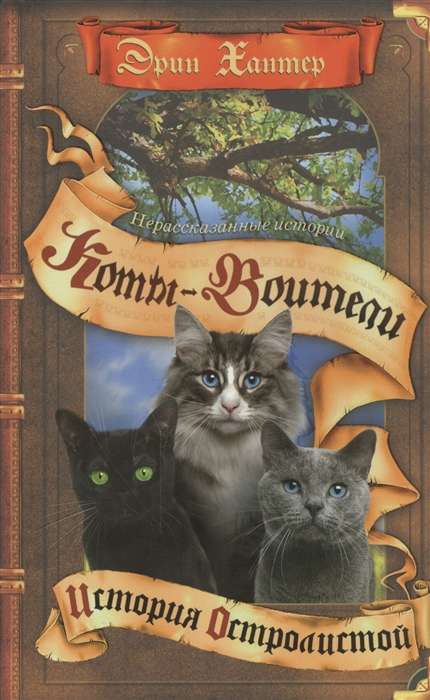 Collection. Cycle of Untold Stories. The Story of Hollyleaf