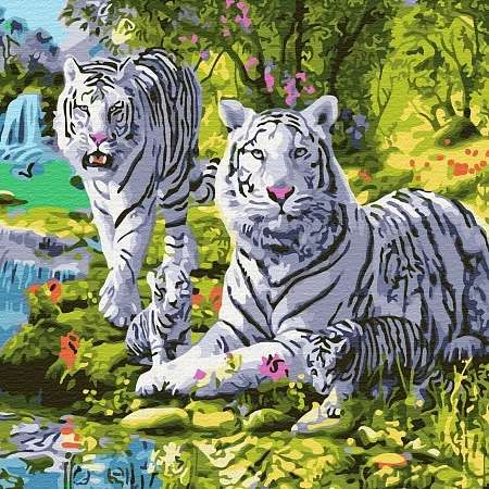 Numbered Painting 30X30 FAMILY OF WHITE TIGERS 19 colors