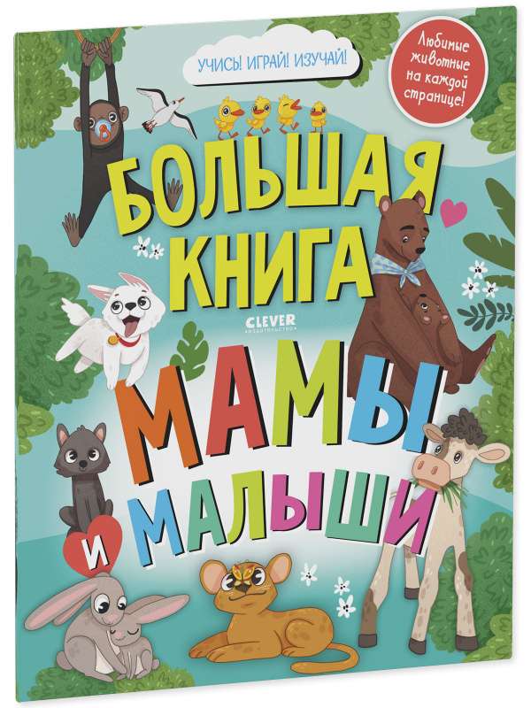 Find and Show. Big Book. Moms and Darlings