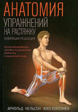 Anatomy of Stretching Exercises