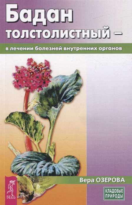 Elephant's ear - in the treatment of internal organ diseases