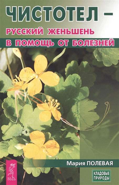 Celandine - the Russian ginseng to help with diseases