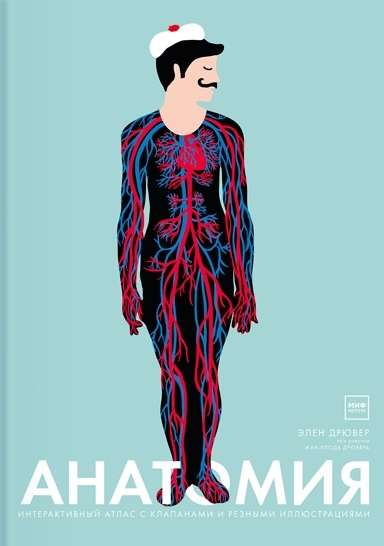 Anatomy