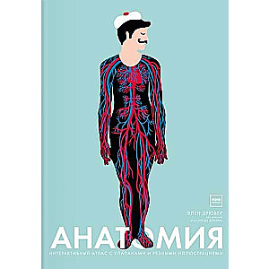 Anatomy