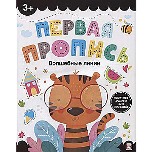 The First Workbook. Magic Lines