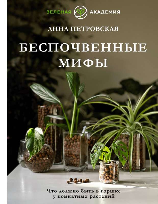 What should be in the pot of indoor plants. Soilless myths