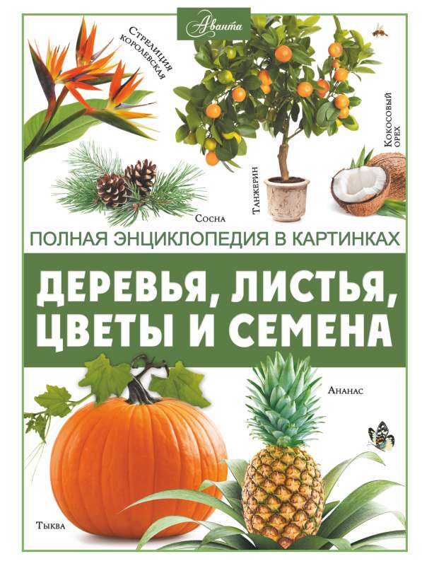 Trees, Leaves, Flowers and Seeds