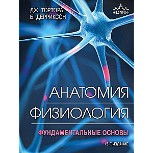 Anatomy. Physiology. Fundamental Principles.
