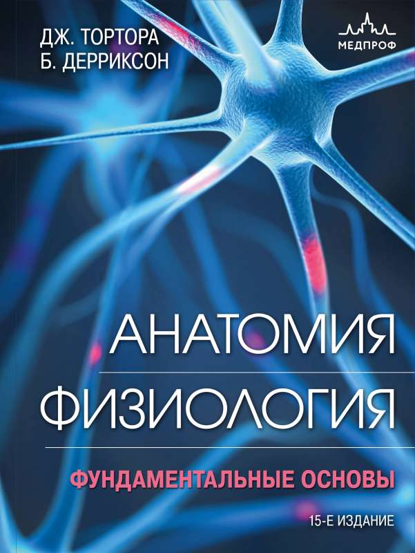 Anatomy. Physiology. Fundamental Principles.