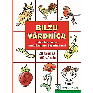 Picture Dictionary
