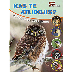 Discover the Nature of Latvia. Who Has Arrived Here?