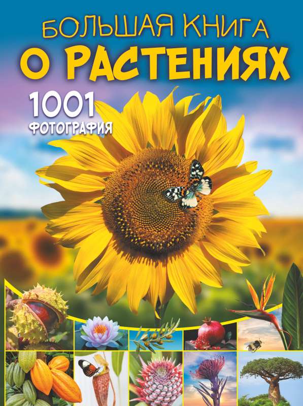 The Big Book of Plants. 1001 Photographs