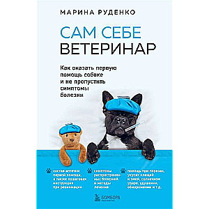 Self-Veterinarian. How to Provide First Aid to a Dog and Not Miss Symptoms of Illness