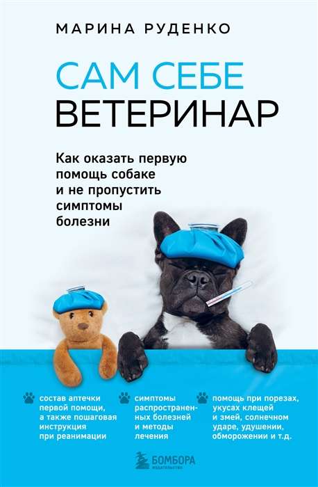 Self-Veterinarian. How to Provide First Aid to a Dog and Not Miss Symptoms of Illness