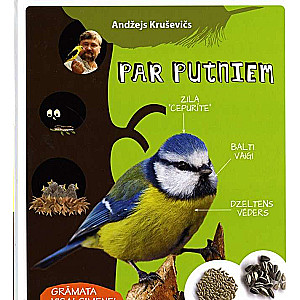 About Birds
