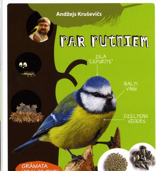 About Birds