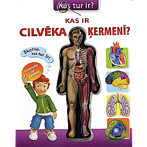 What is in the human body?