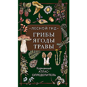 Forest Guide: Mushrooms, Berries, Herbs. Pocket Atlas-Identifier