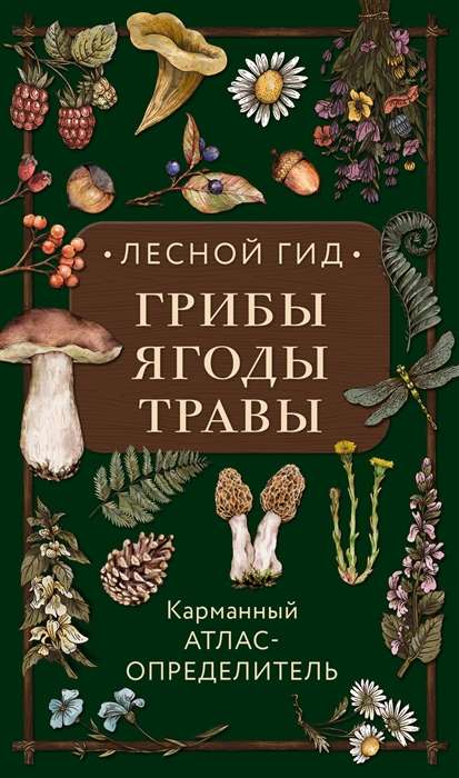 Forest Guide: Mushrooms, Berries, Herbs. Pocket Atlas-Identifier