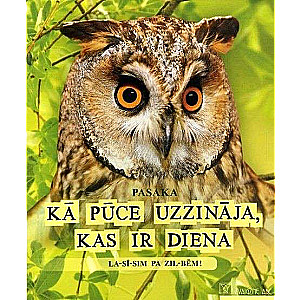 How the Owl Learned What Day Is