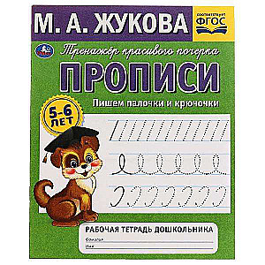 Copybooks. Writing sticks and hooks. 5-6 years. Workbook