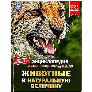 Animals in Real Size. Encyclopedia with Developmental Tasks