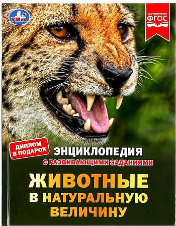 Animals in Real Size. Encyclopedia with Developmental Tasks