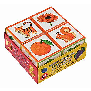 IQ cubes in a little tray. 4 pieces. What color is what?