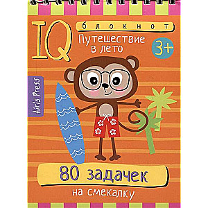 IQ Notebook. 80 Puzzles for Wit. Journey into Summer. 3+
