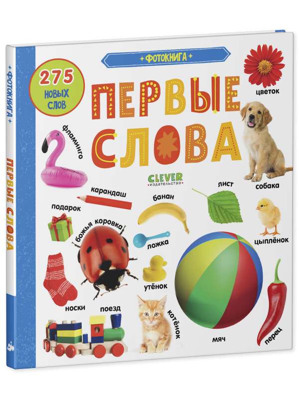 Photo Book. First Words. 275 New Words