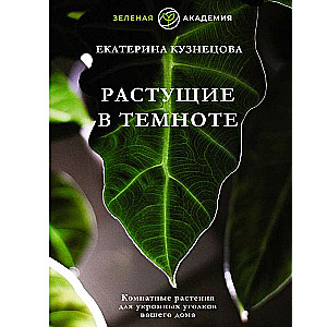 Growing in the Dark. Houseplants for Cozy Corners of Your Home