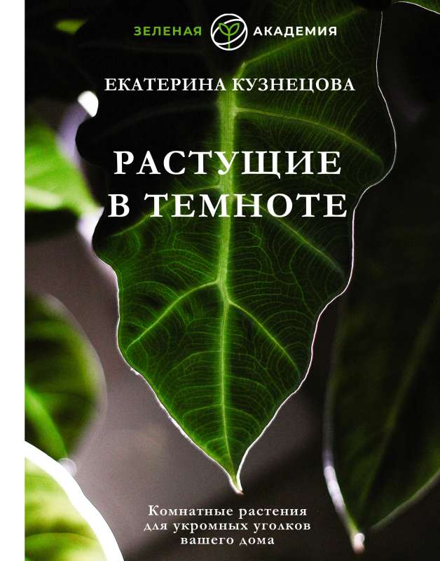 Growing in the Dark. Houseplants for Cozy Corners of Your Home