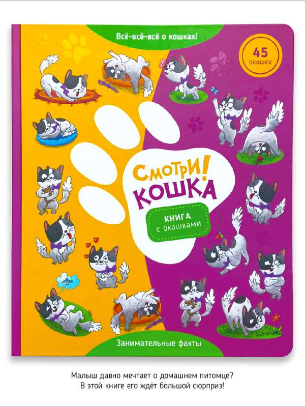 Look! Cat. Book with Windows