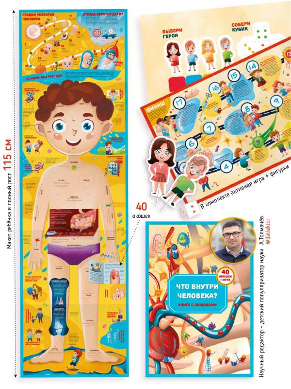 Anatomy. A Book for the Very Young with Windows