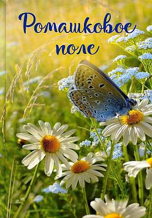 Notes of an Outsider. Book 1: The Chamomile Field