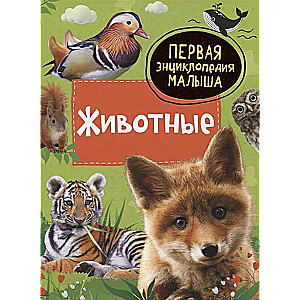 Animals. First Encyclopedia for Kids