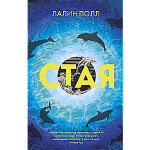 Стая