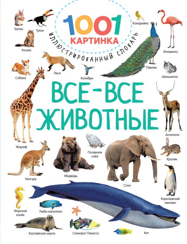 All All Animals