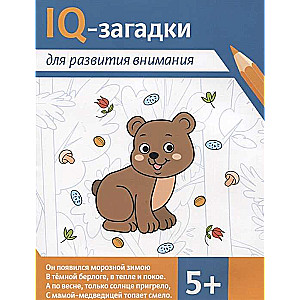 IQ puzzles for attention development: 5+