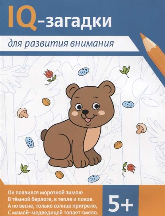 IQ puzzles for attention development: 5+