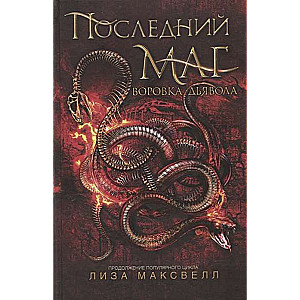 The Last Mage. 2. The Devil's Thief